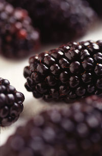 blackberry